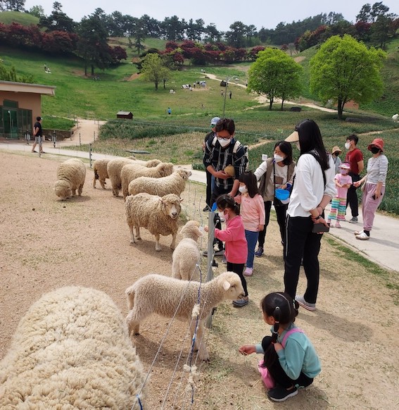 전남4    구례 지리산 치즈랜드    .jpg