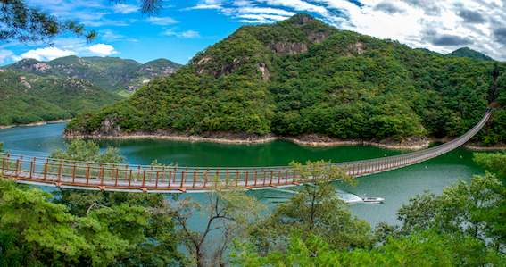 충북   제천 옥순봉 출렁다리    .jpg