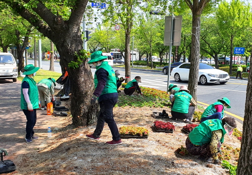 [크기변환]2. 경주시 보덕동, 천군네거리 일대 걷고 싶은 꽃길 조성.jpg