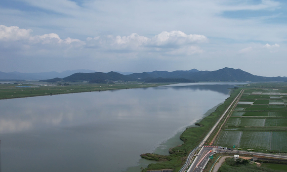 전남    영산강 강변도로(하류측)    .jpg