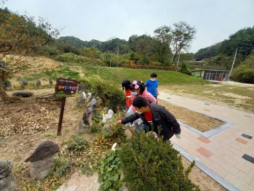 크기변환_4.경북교육청, 녹색학교 가꾸기로 녹색마음밭 일구다!01(지난해 녹색학교 가꾸기 사업을 추진한 김천 조마초등학교의 ‘꼬마 야생화 해설사’ 되기프로그램).jpg