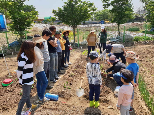 [크기변환]동구 대림 공영도시텃밭 (2).jpg