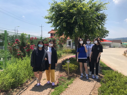 [크기변환]2.기후위기, 환경재난 대응 학교환경교육01(지난해 의성여고 녹색학교 가꾸기 사업으로 교정에 마련된 녹색 산책로).jpg