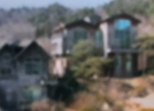 111.jpg