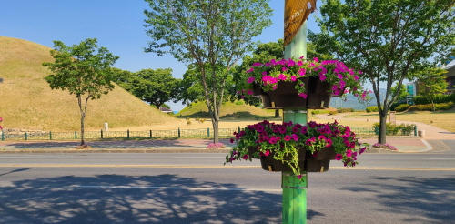 크기변환_4. 경주시, 가로등 걸이화분 설치로 화사한 도로경관 연출 (1).jpg