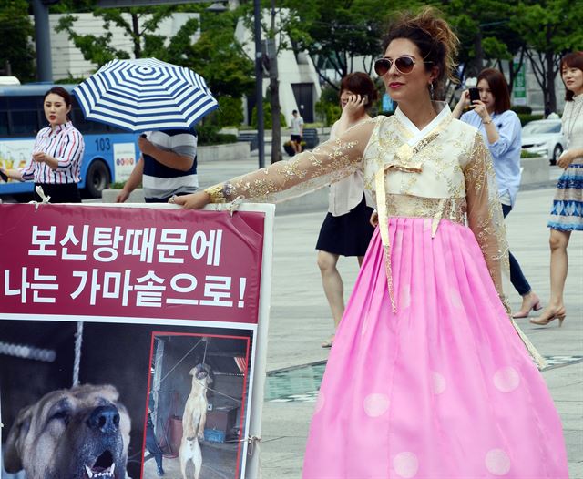 보신탕.jpg