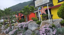 [여우별펜션] 별과 물...